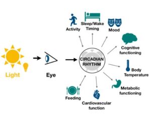 Circadian Therapeutics Sleep Health Survey – Nystagmus Network