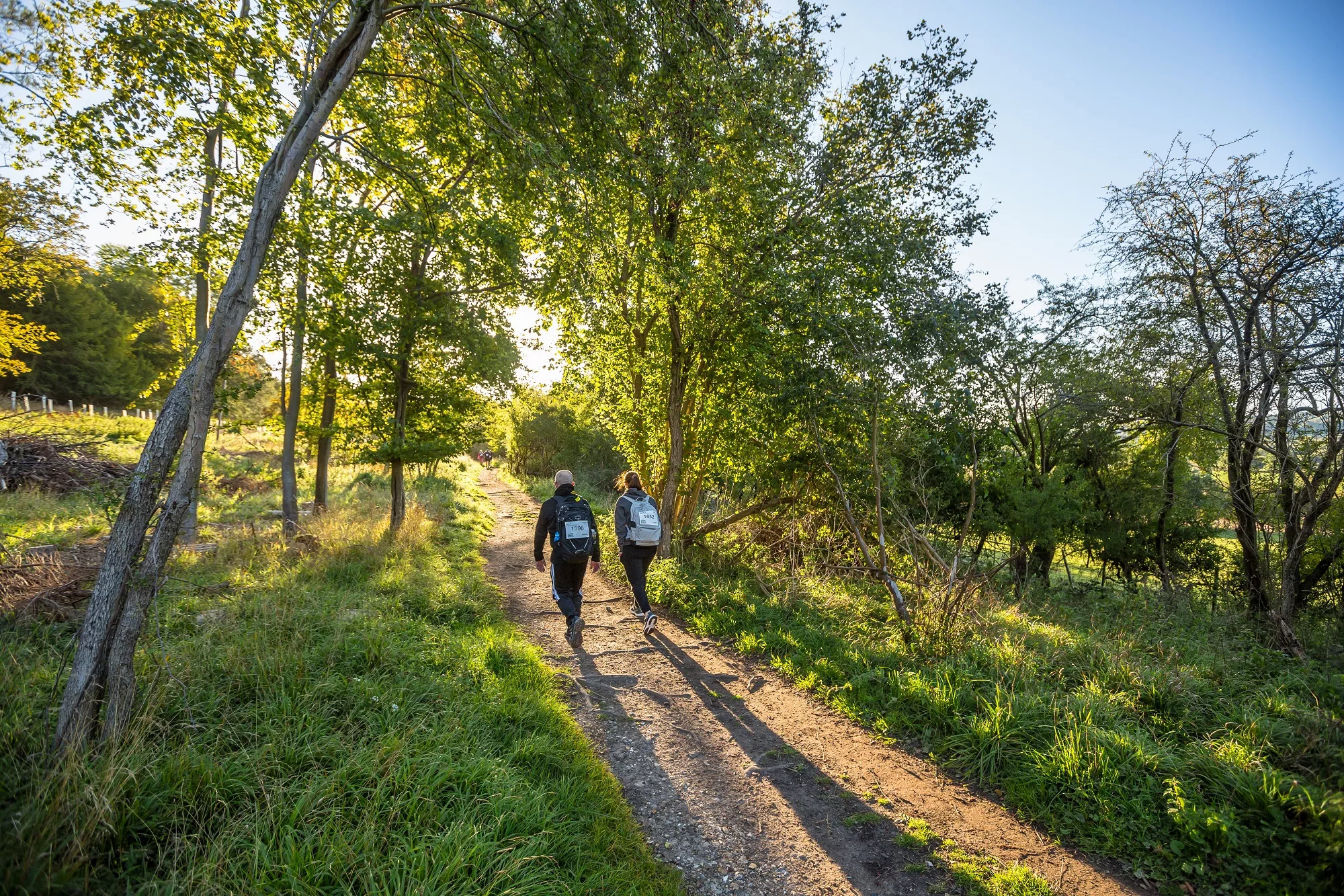 Two hikers walk along a sunlit lane with trees on either side.