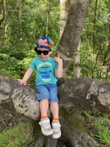 A young boy wearing a green T-shirt, blue shorts, a sun hat and sunglasses sits in a tree.