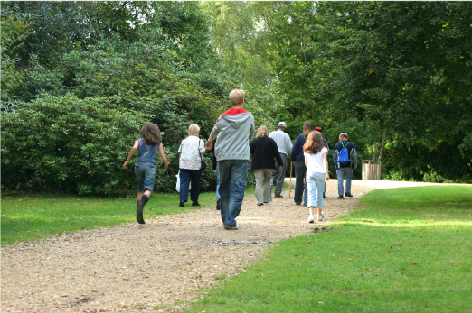 A group of adults and children walking together along a gravel path in a park with large trees.
